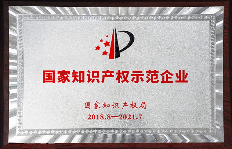 國家知識產權示范企業(yè)